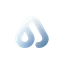 AXON